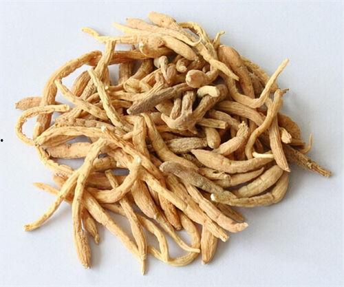 老姜爆料视频大全最新,揭秘娱乐圈幕后真相